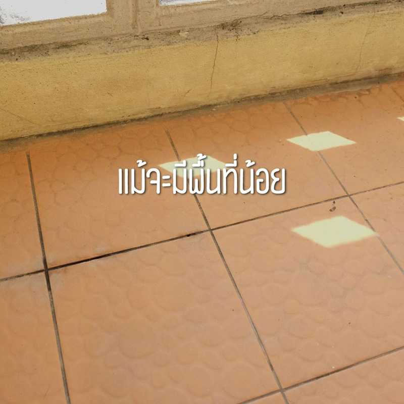 ปลูกผักสวนครัว