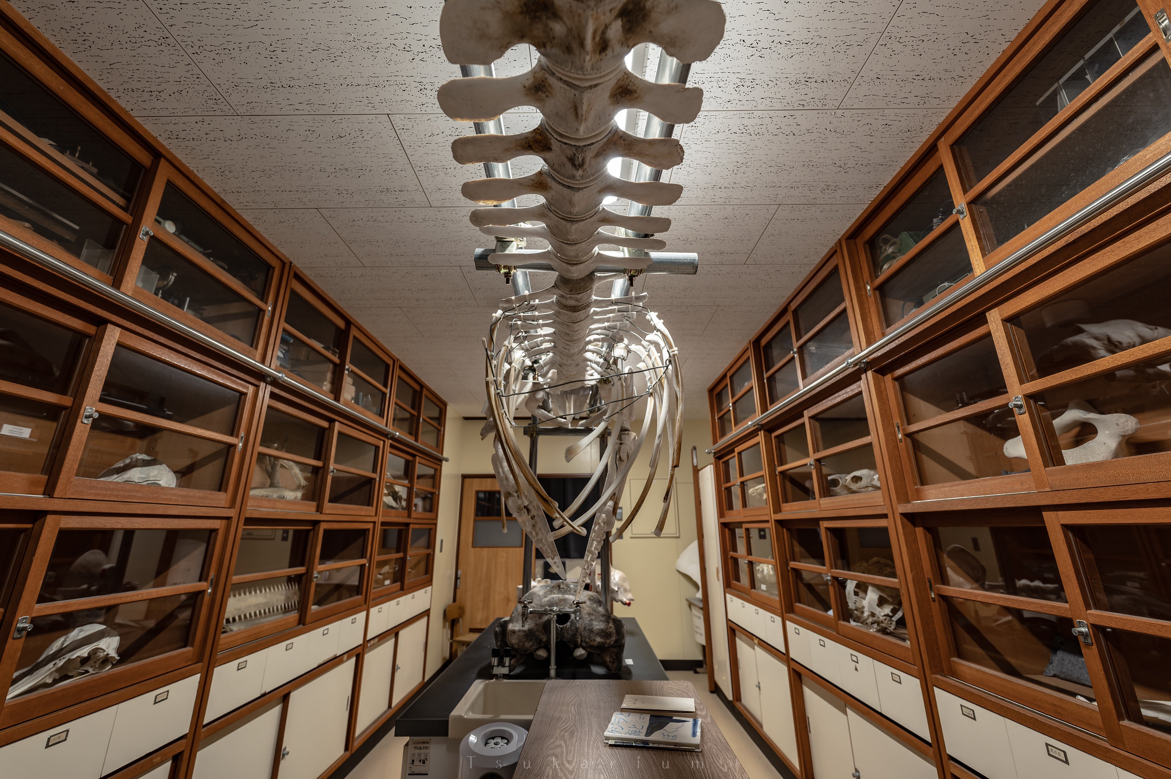 โรงเรียนร้าง