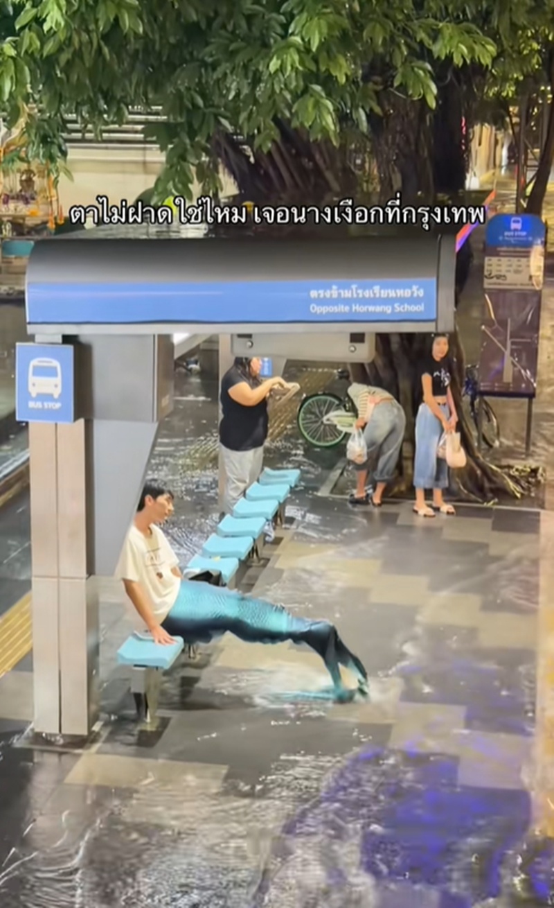 นางเงือก