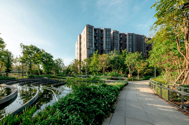 จิณณ์ เวลบีอิ้ง เคาน์ตี้