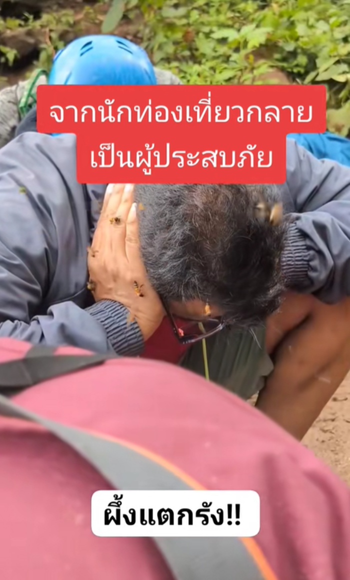 ผึ้งแตกรัง