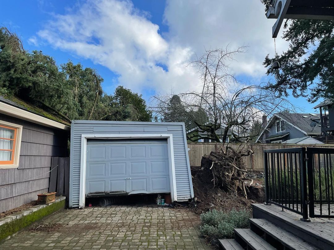 ต้นไม้ถล่มทับหลังบ้าน