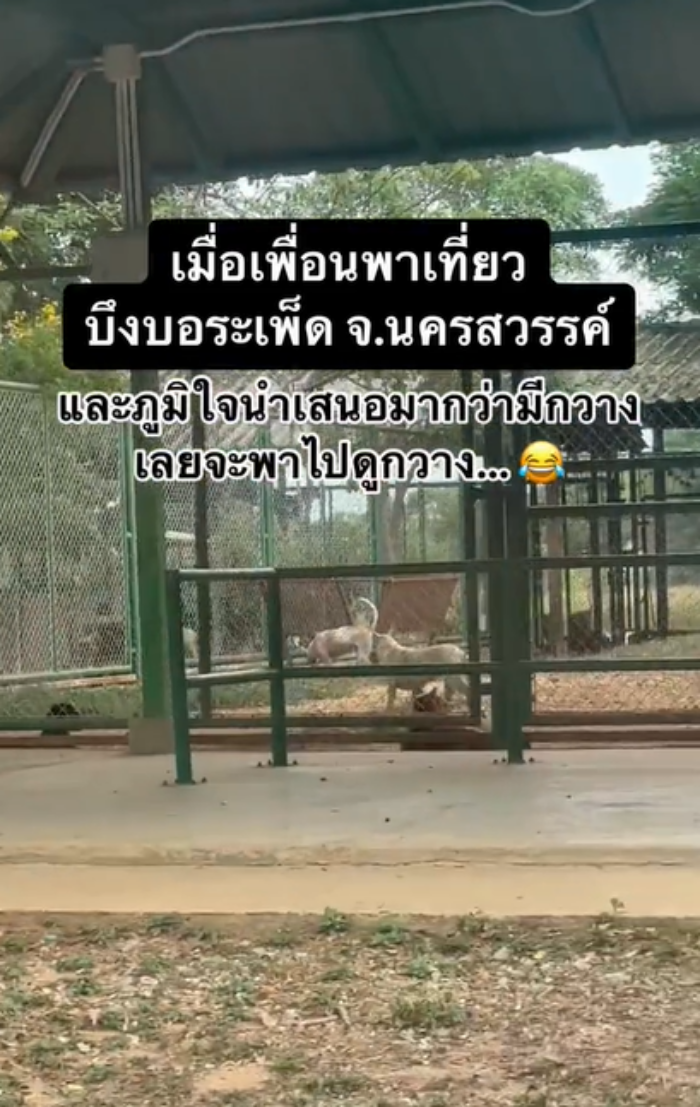 บึงบอระเพ็ด