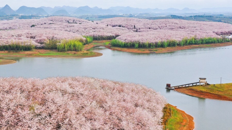 เกาะสีชมพู