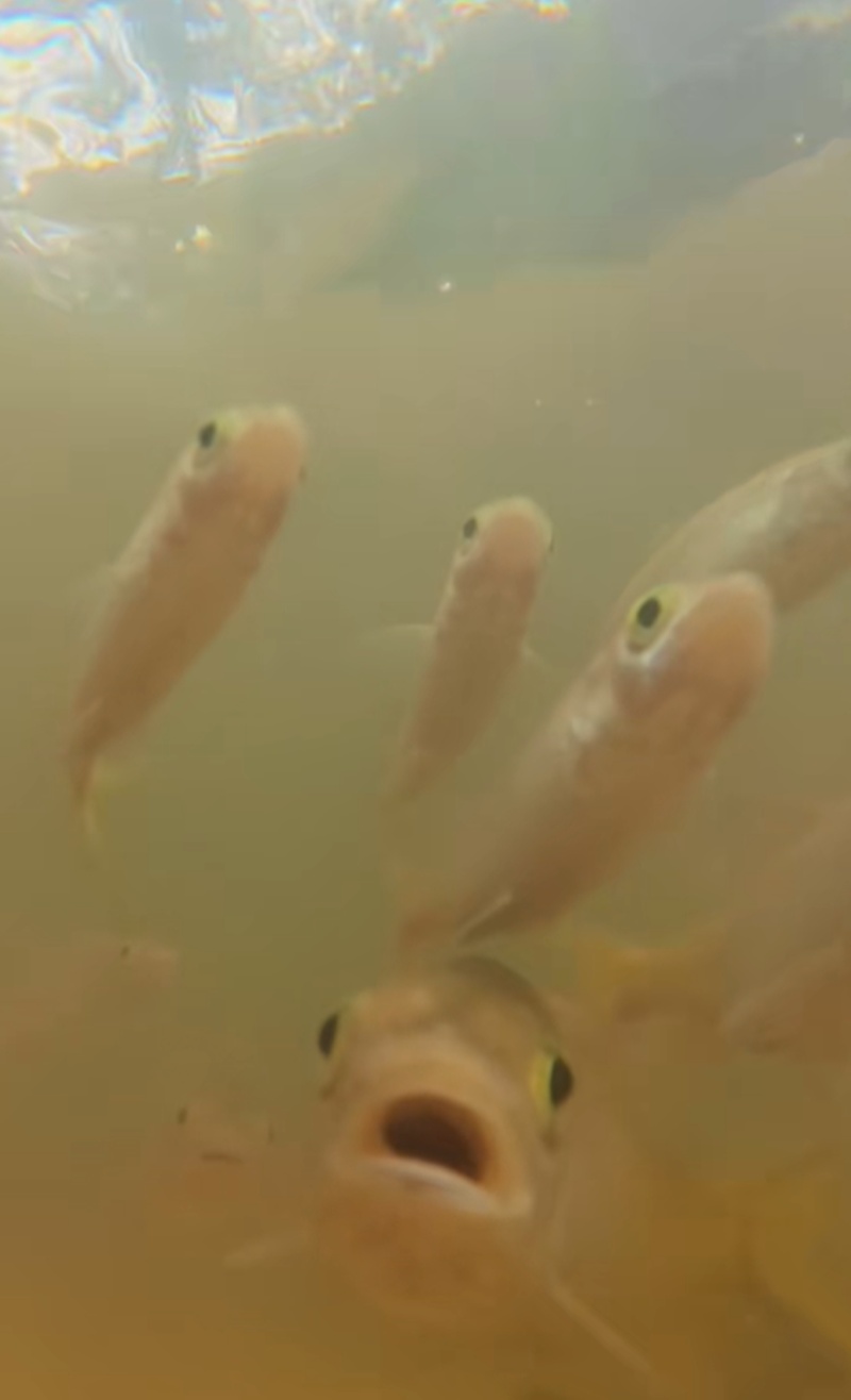 นักท่องเที่ยว