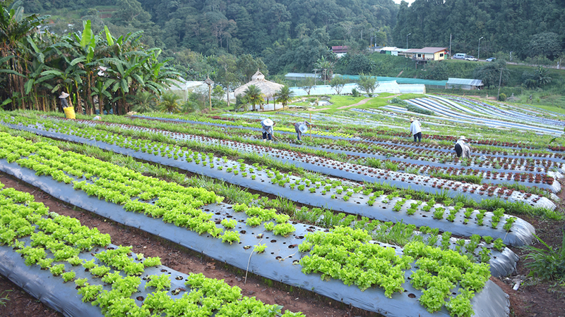 ที่เที่ยวม่อนแจ่ม