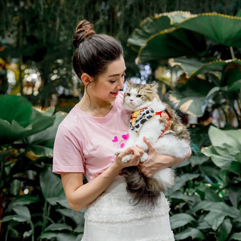 ดาราหญิงชอบเลี้ยงแมว