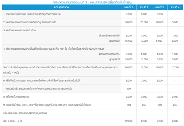 ประกันสัตว์เลี้ยง เมืองไทยประกันภัย