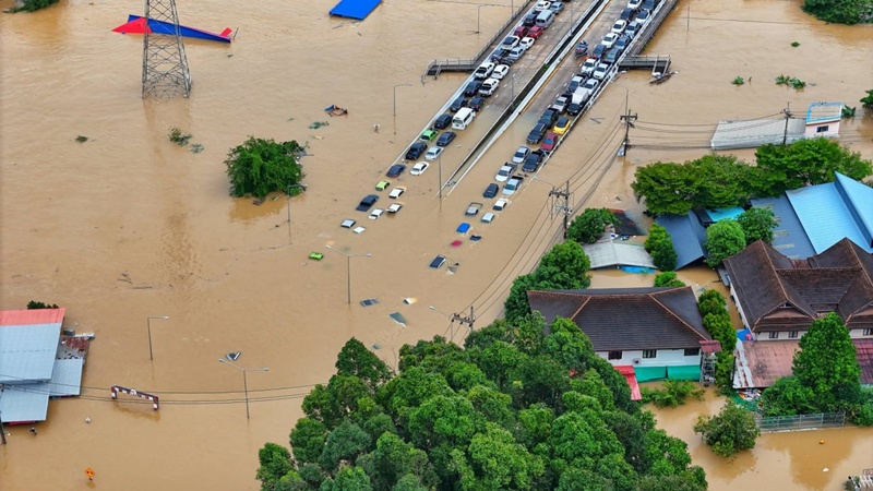 ดาราช่วยน้ำท่วมหาดใหญ่ 