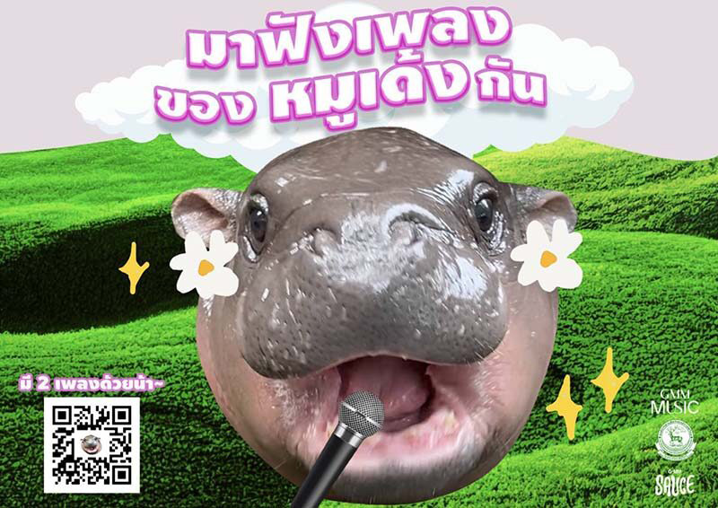 เปิดดีเทล หมูเด้ง เดบิวต์เป็นนักร้องค่ายใหญ่ เตรียมปล่อยเพลง 4 ภาษา