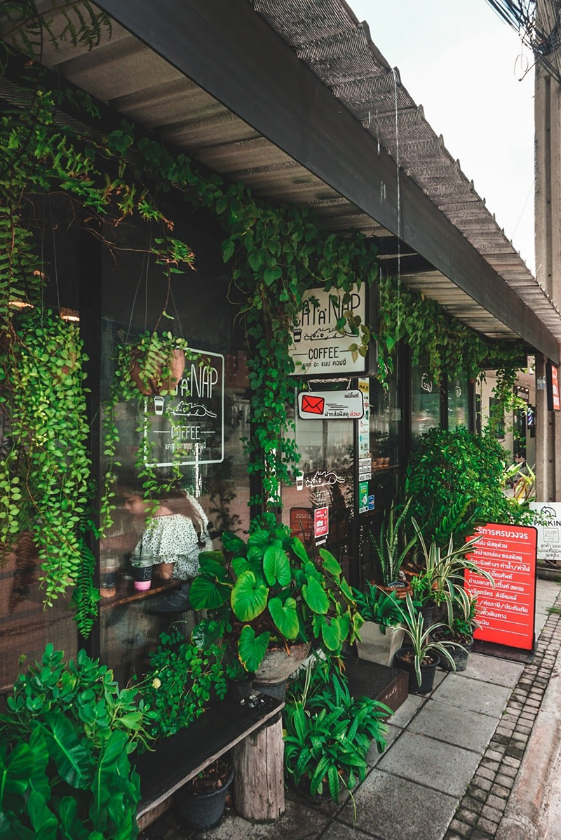 คาเฟ่ย่านเมืองทองธานี-ปากเกร็ด