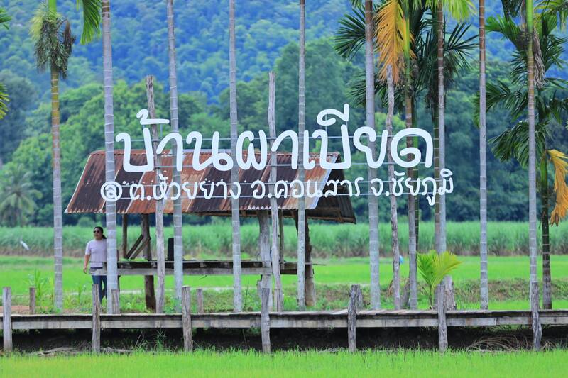 ทิวหมาก บ้านผาเบียด ชัยภูมิ