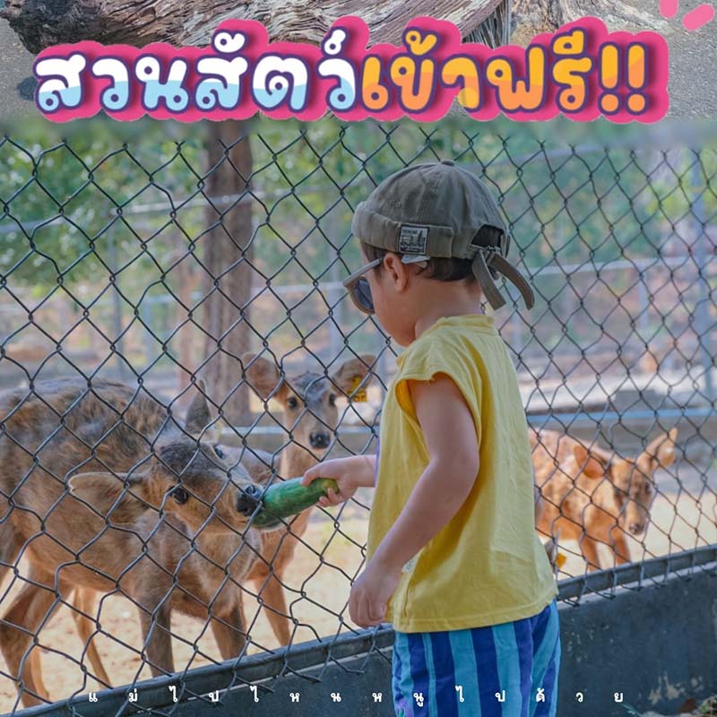สถานีเพาะเลี้ยงสัตว์ป่าห้วยทราย