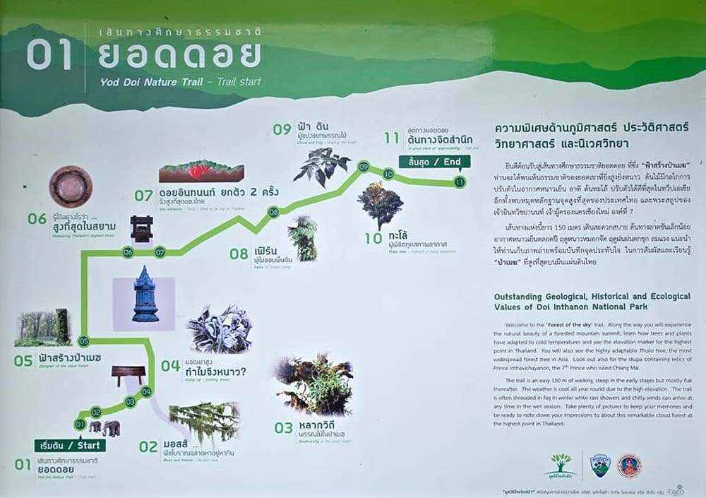 เที่ยวดอยอินทนนท์หน้าฝน