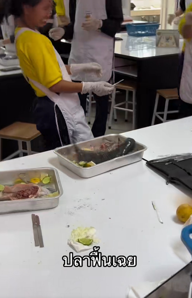 เรียนทำอาหาร