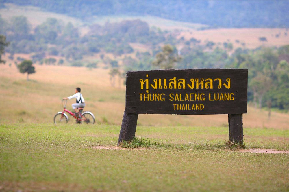 ที่เที่ยวหน้าหนาว 2566