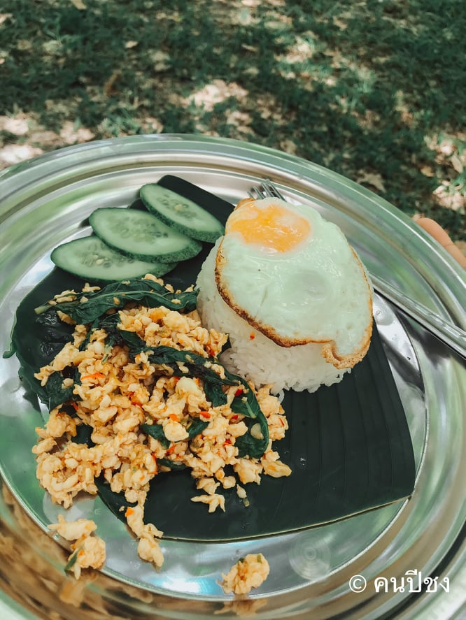 คาเฟ่ในสวนยาง