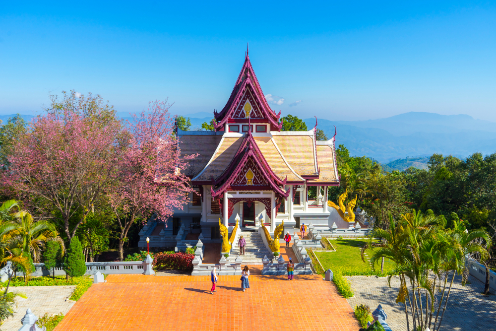 ดอยแม่สลอง