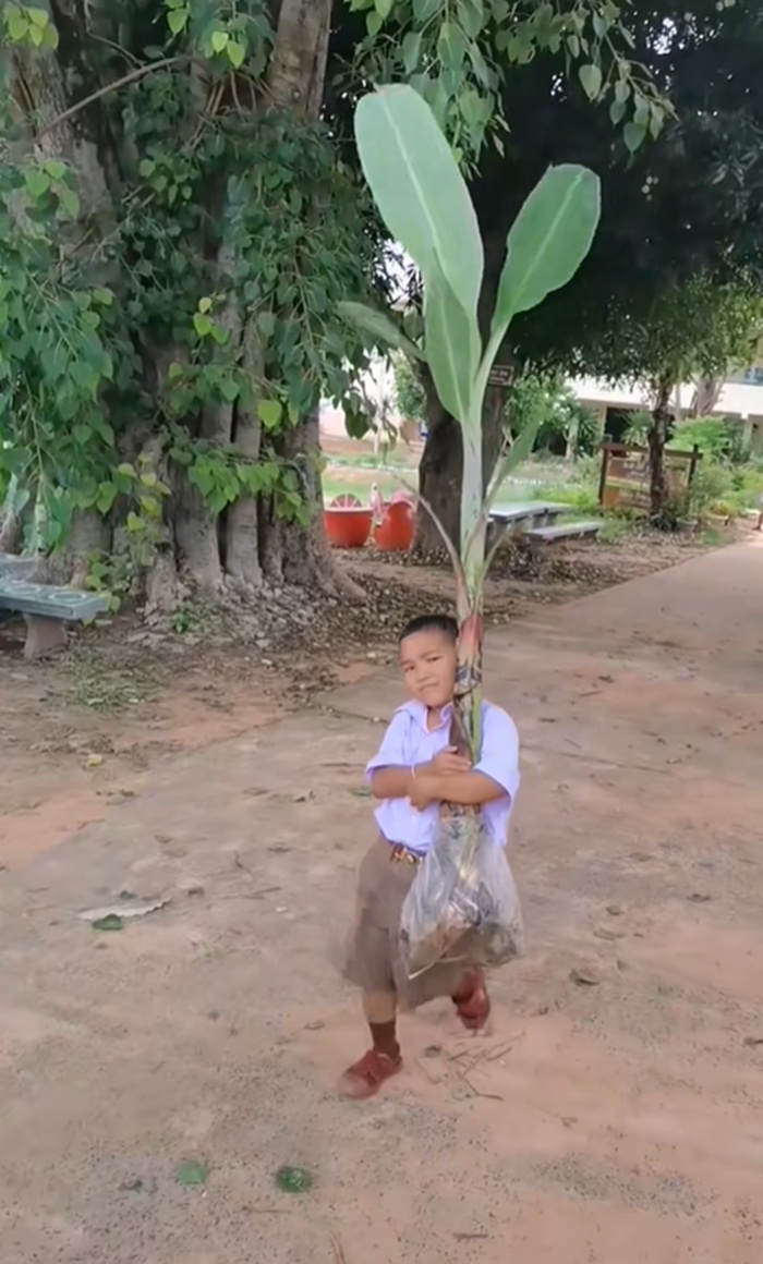 ไหว้ครู