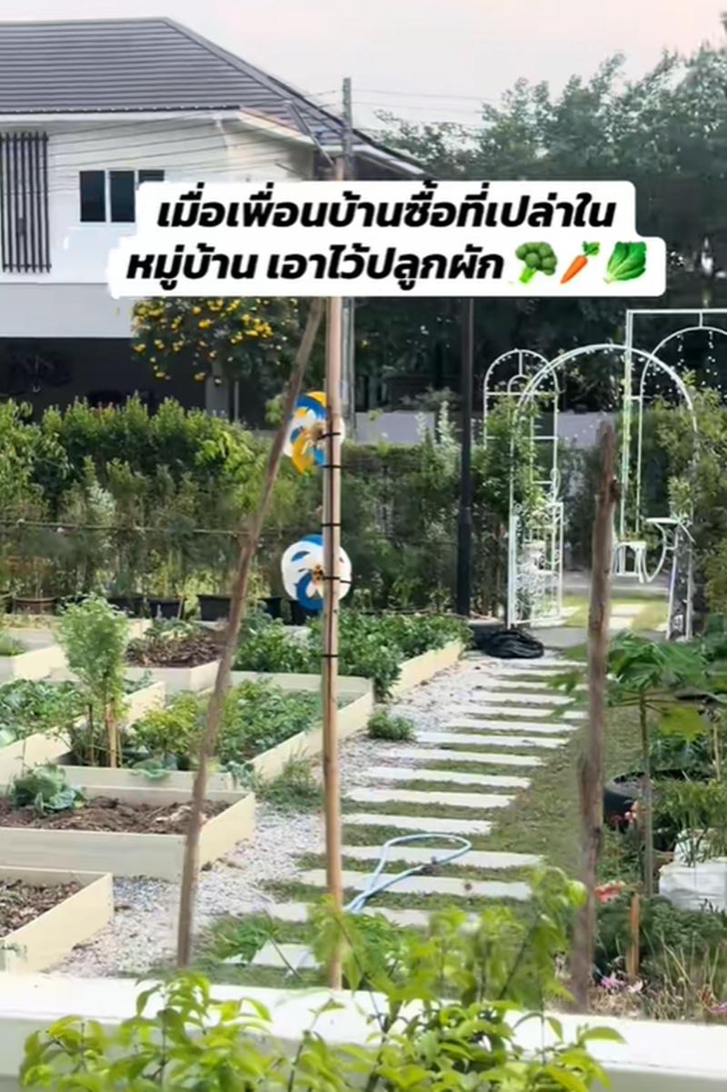 เพื่อนบ้าน