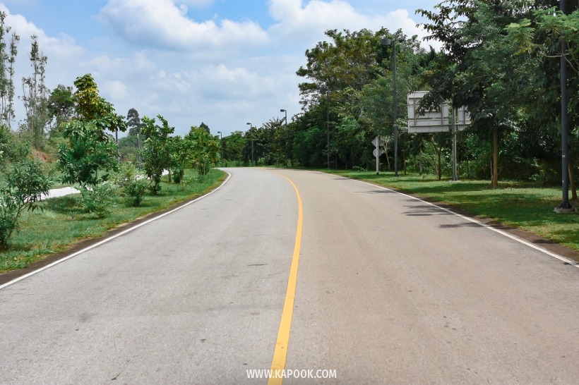 วังจันทร์ ระยอง