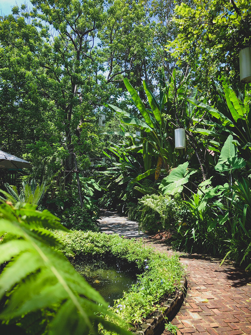 คาเฟ่ย่านเมืองทองธานี-ปากเกร็ด