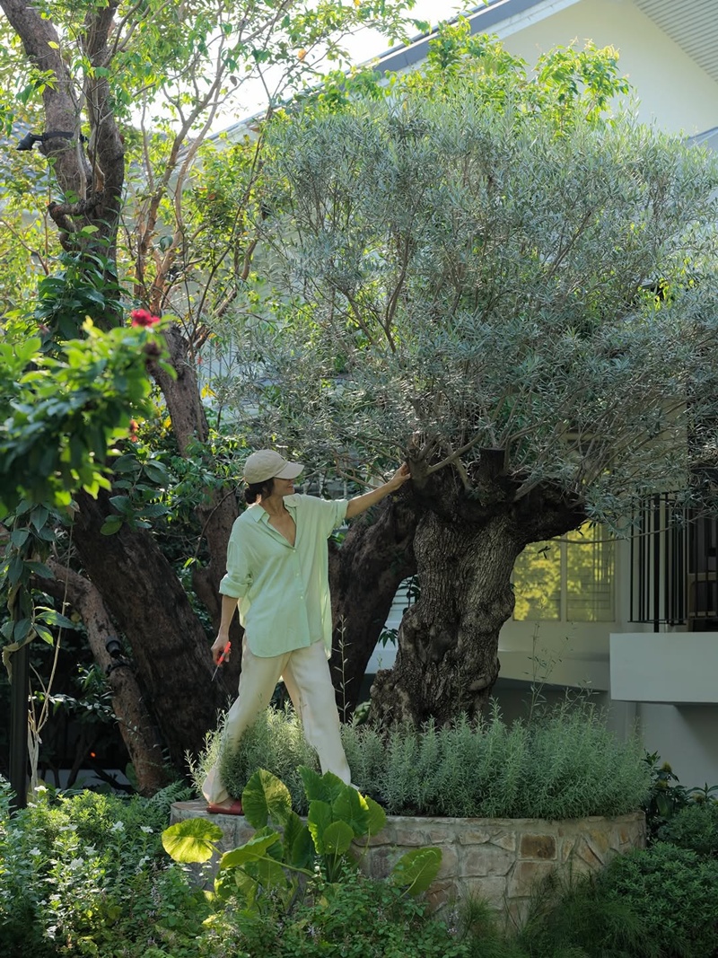 บ้านแอน ทองประสม