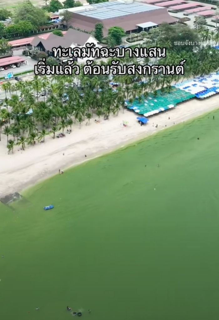 ทะเลชาเขียว