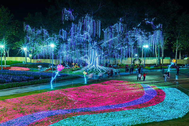 CHARMING Chiang Mai Flower Festival ไฟประดับ