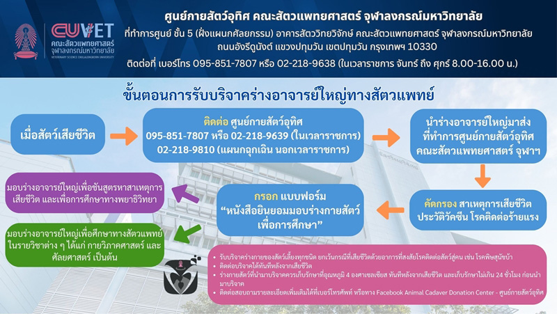วิธีบริจาคร่างสัตว์เลี้ยง ม.จุฬาฯ