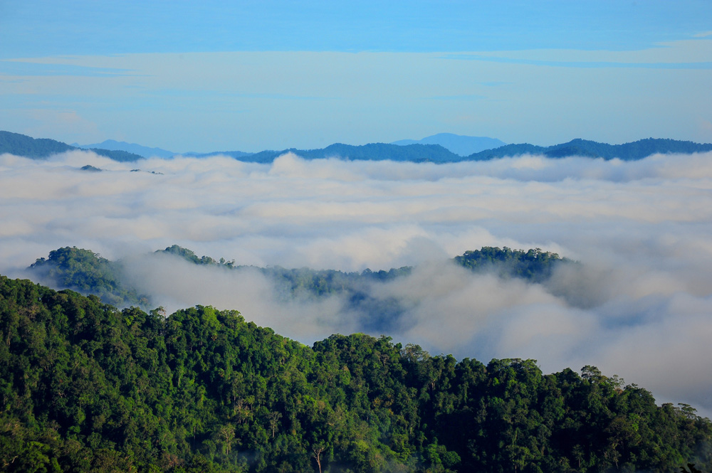 วิวทะเลหมอก รางวัลสำหรับนักท่องเที่ยวที่มาเขาพะเนินทุ่ง