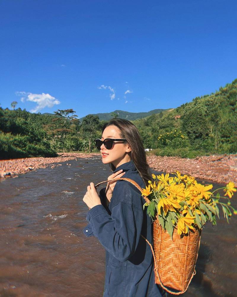 ใบเฟิร์น พิมพ์ชนก