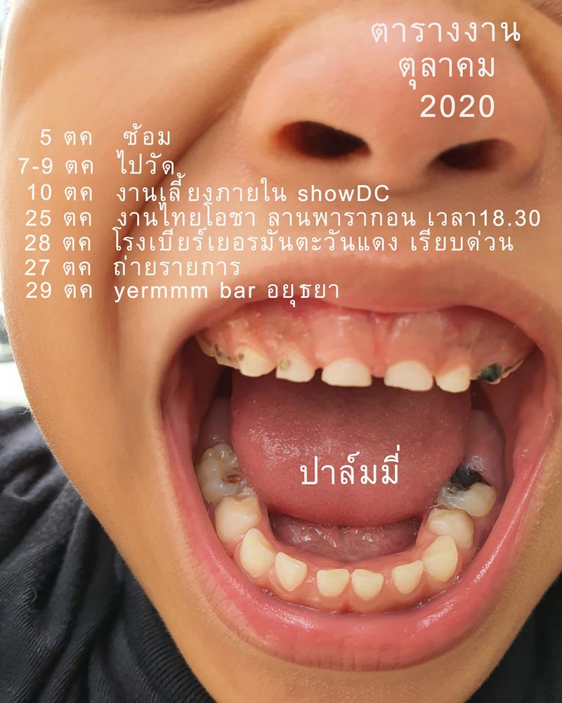 ปาล์มมี่