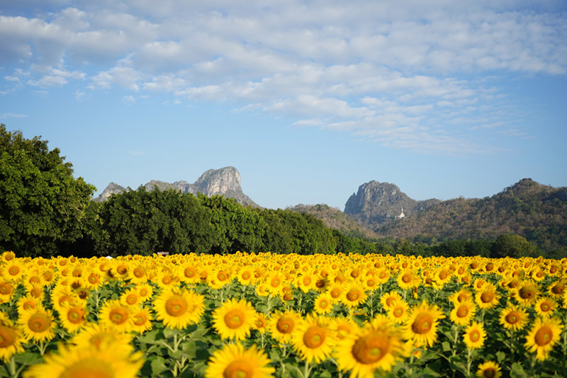 ที่เที่ยวเดือนธันวาคม