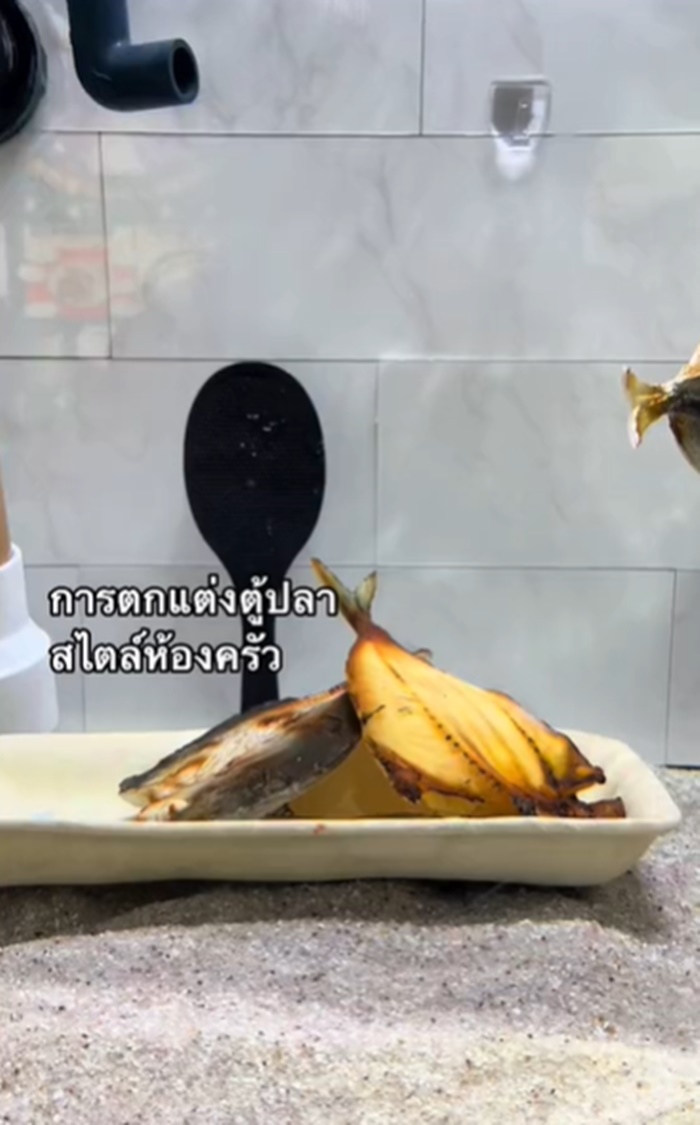 ตกแต่งตู้ปลา