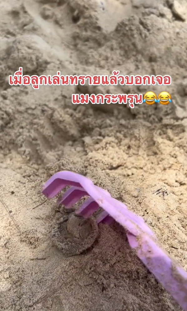 เล่นทราย