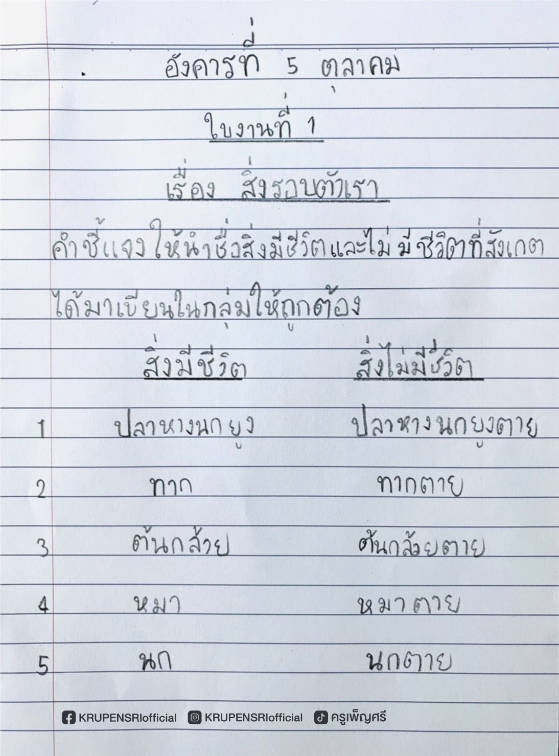 การบ้านเด็กนักเรียน