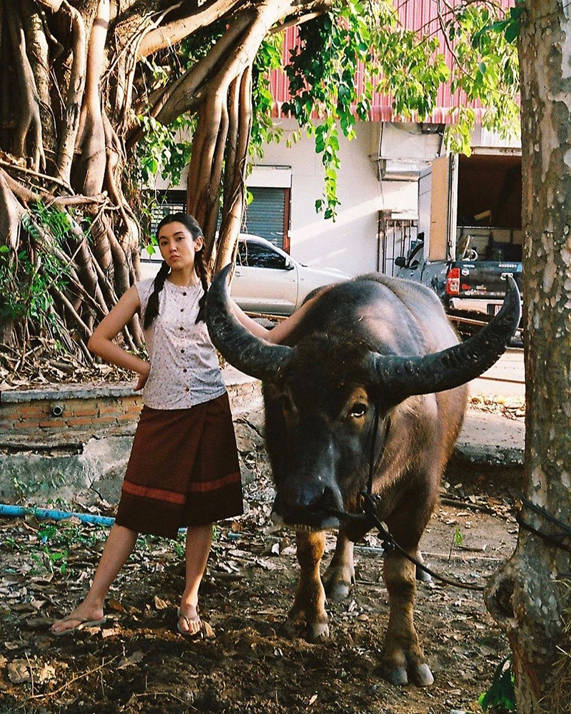 เบลล่า