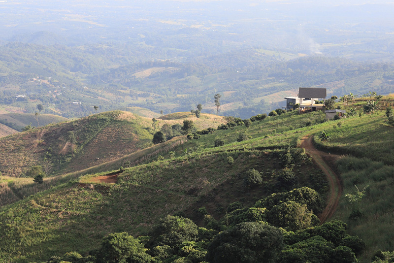 ดอยในเชียงราย