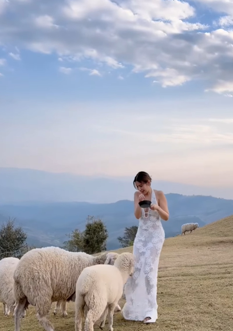 ใบเตย อาร์สยาม