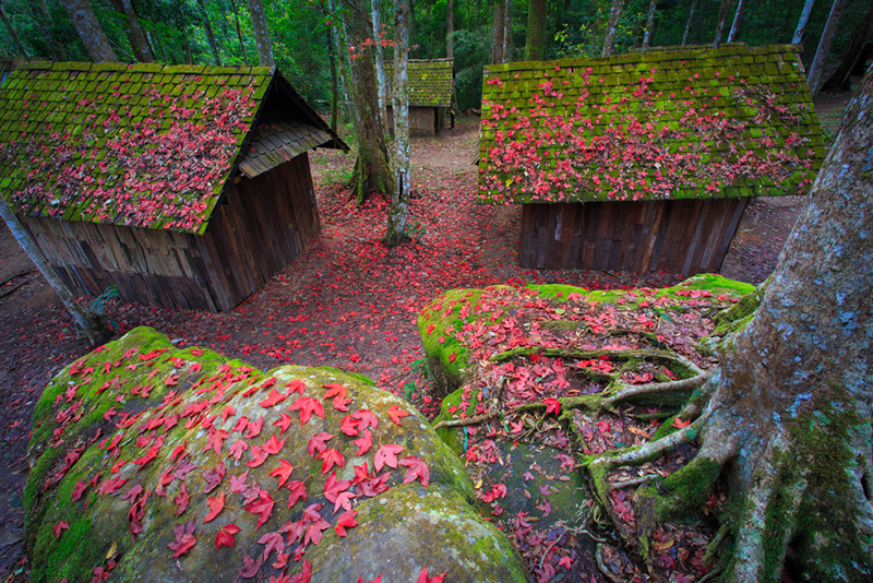 โรงเรียนการเมืองการทหาร อุทยานแห่งชาติภูหินร่องกล้า จังหวัดพิษณุโลก