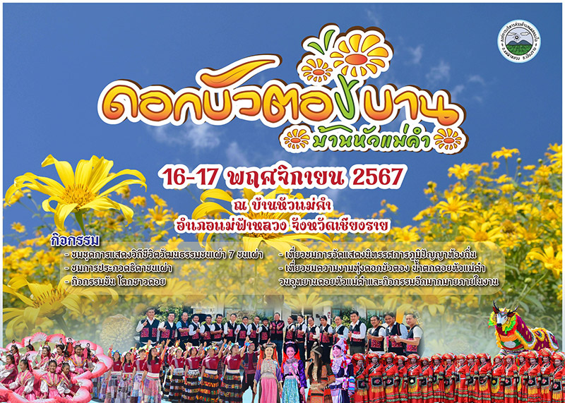 ทุ่งดอกบัวตอง 2567 บ้านแม่หัวคำ