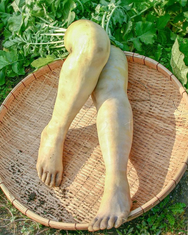 หัวไชเท้า