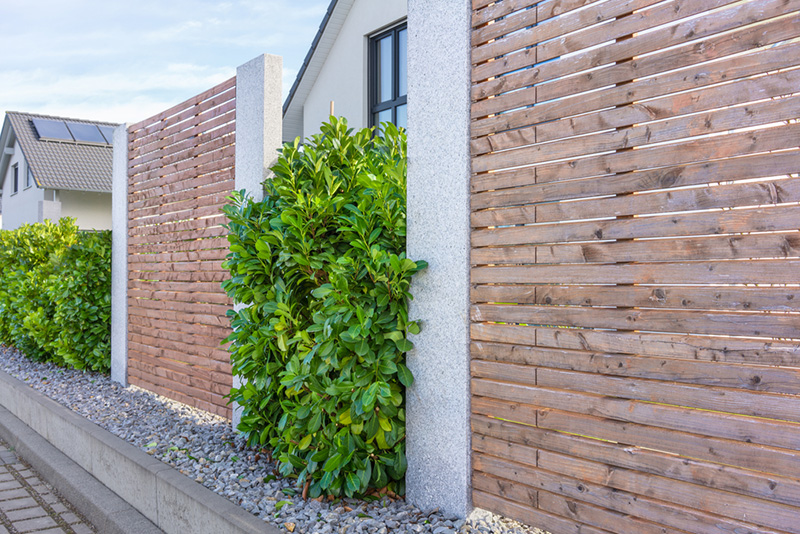 ไอเดียรั้วต้นไม้ Modern Landscaping with a Cherry Laurel Hedge