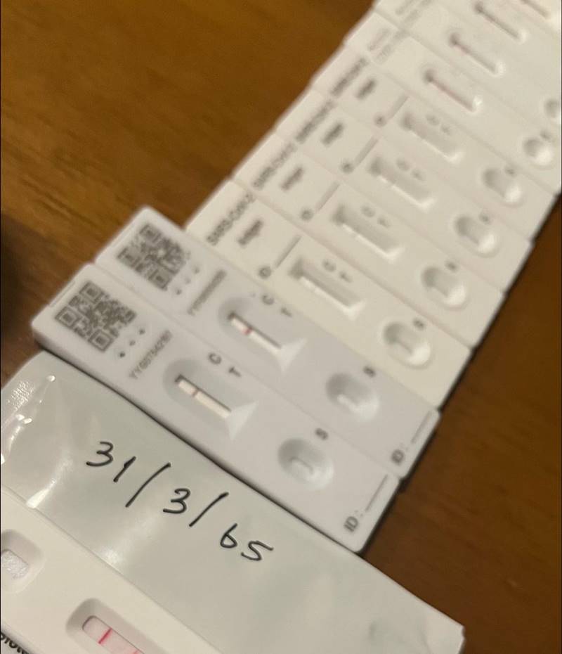 โบกี้ ไลอ้อน