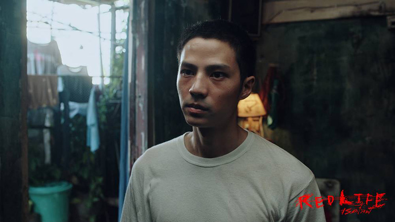 เรื่องย่อ เรดไลฟ์ RedLife