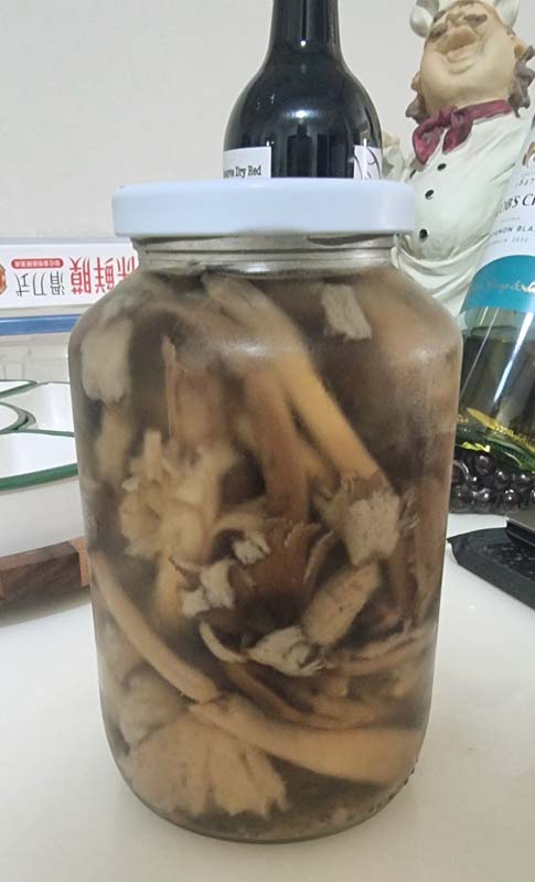 กระเพาะปลา