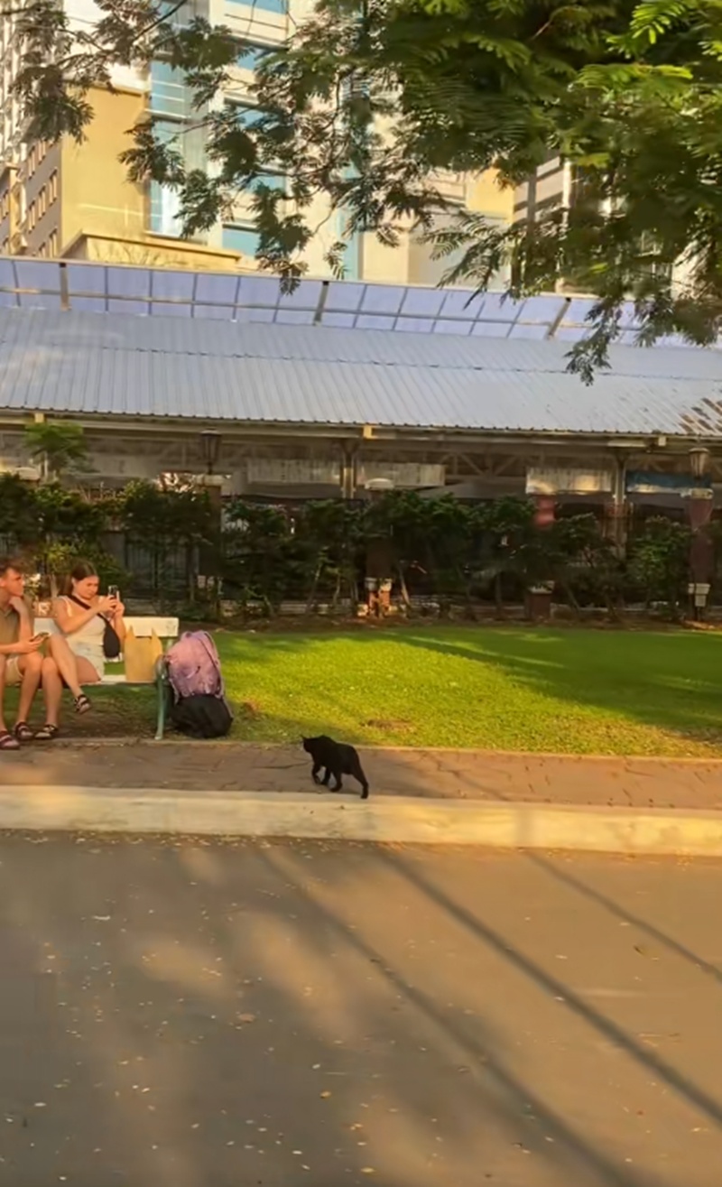 สวนลุมพินี