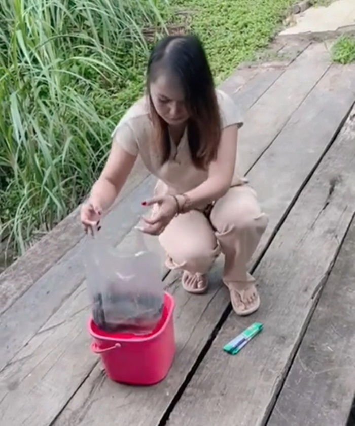 ปล่อยปลา