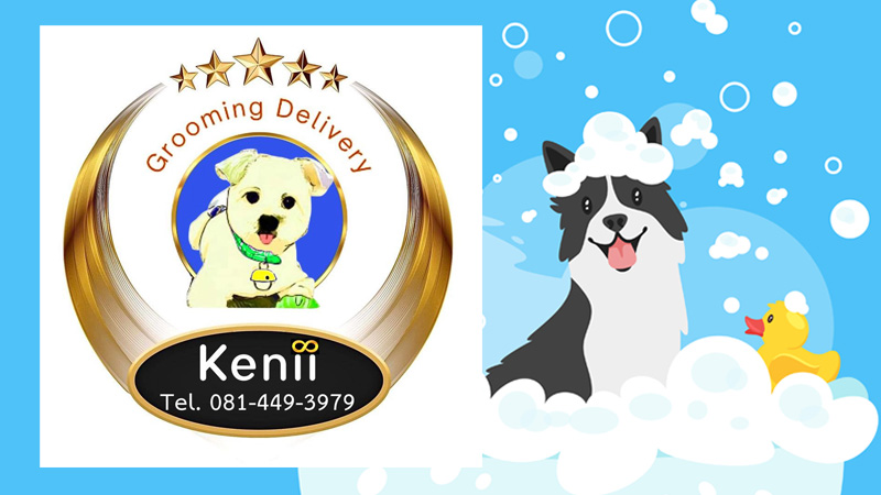 Kenii Grooming Delivery